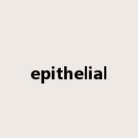 epithelial是什么意思