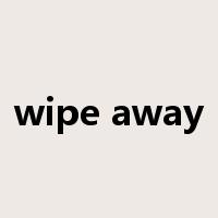 wipe away是什么意思