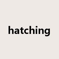 hatching是什么意思