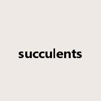 succulents是什么意思