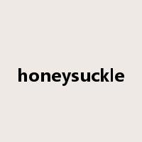 honeysuckle是什么意思