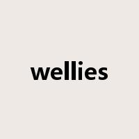 wellies是什么意思