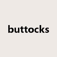 buttocks是什么意思