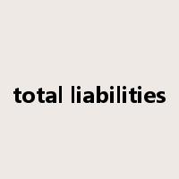 total liabilities是什么意思