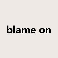 blame on是什么意思