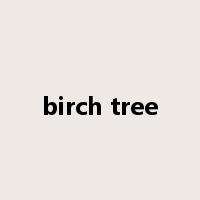birch tree是什么意思
