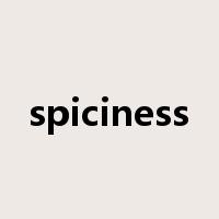 spiciness是什么意思