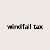 windfall tax是什么意思