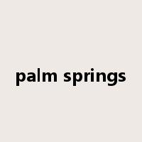 palm springs是什么意思