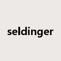 seldinger是什么意思
