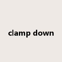 clamp down是什么意思
