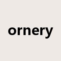 ornery是什么意思