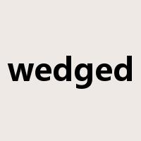 wedged是什么意思