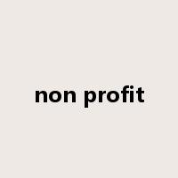 non profit是什么意思