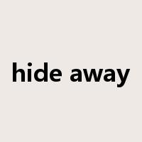 hide away是什么意思