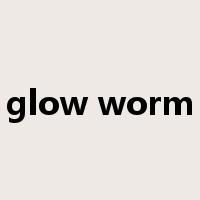 glow worm是什么意思