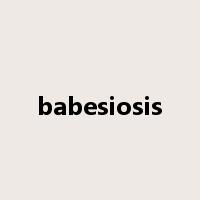 babesiosis是什么意思