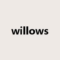 willows是什么意思