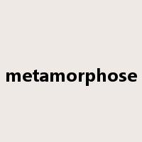 metamorphose是什么意思