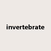 invertebrate是什么意思