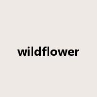 wildflower是什么意思