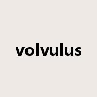 volvulus是什么意思