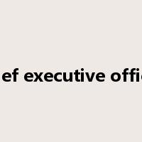 chief executive officer是什么意思