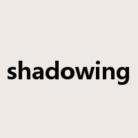 shadowing是什么意思
