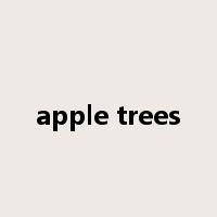 apple trees是什么意思