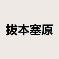 拔本塞原是什么意思