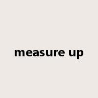 measure up是什么意思