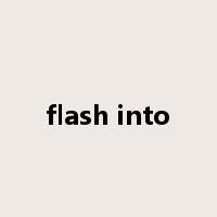 flash into是什么意思