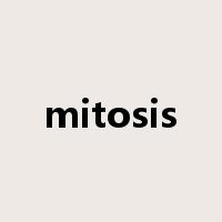 mitosis是什么意思