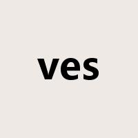 ves是什么意思