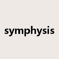 symphysis是什么意思
