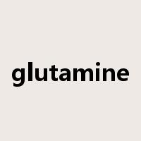 glutamine是什么意思