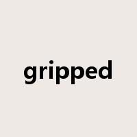 gripped是什么意思