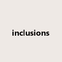 inclusions是什么意思