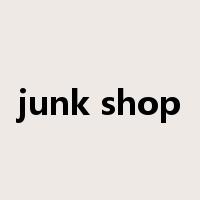 junk shop是什么意思