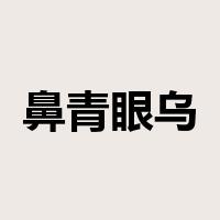 鼻青眼乌是什么意思