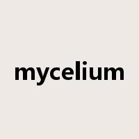 mycelium是什么意思