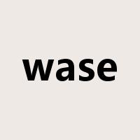 wase是什么意思