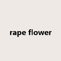 rape flower是什么意思