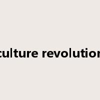 culture revolution是什么意思