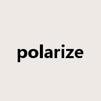 polarize是什么意思