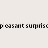 pleasant surprise是什么意思