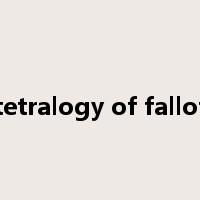 tetralogy of fallot是什么意思