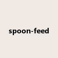 spoon-feed是什么意思