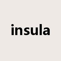 insula是什么意思