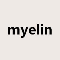 myelin是什么意思